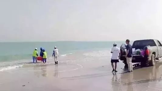 首页| J9集团国际站官方网站