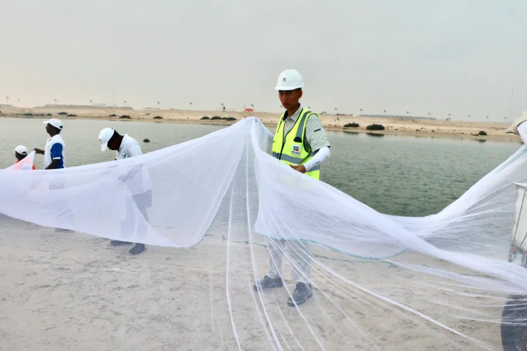 首页| J9集团国际站官方网站