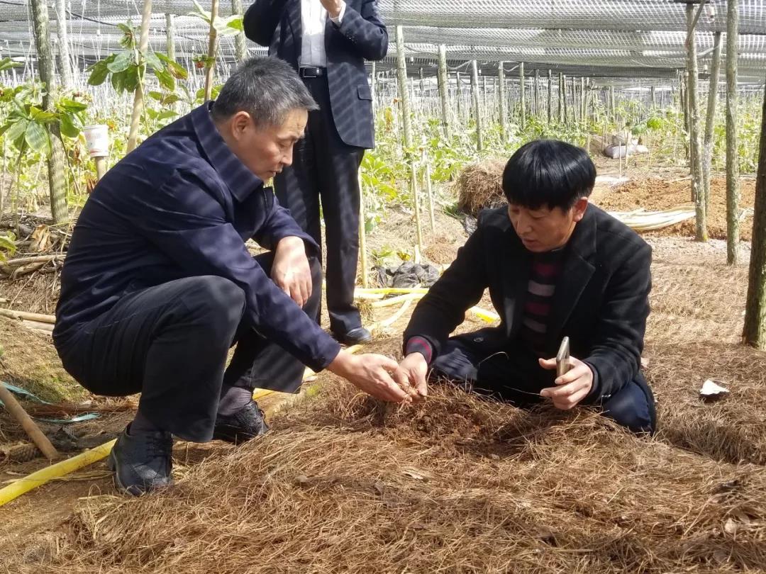 首页| J9集团国际站官方网站