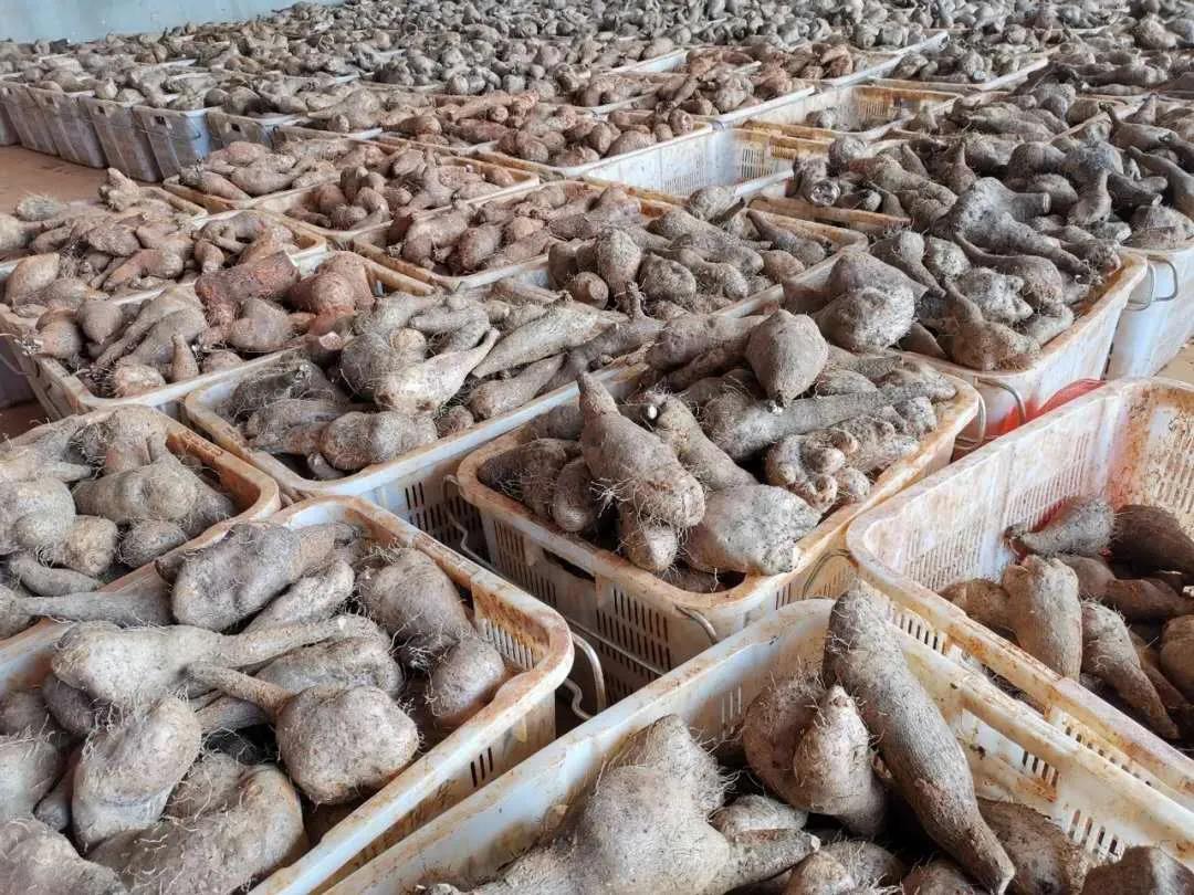 首页| J9集团国际站官方网站