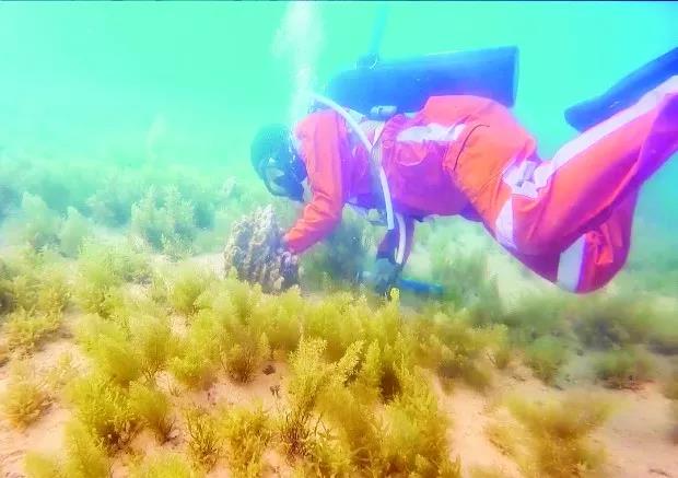 首页| J9集团国际站官方网站