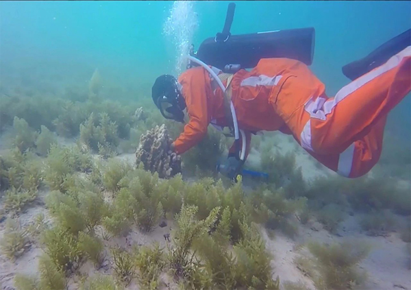 首页| J9集团国际站官方网站