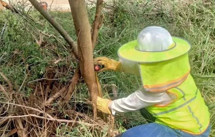 首页| J9集团国际站官方网站