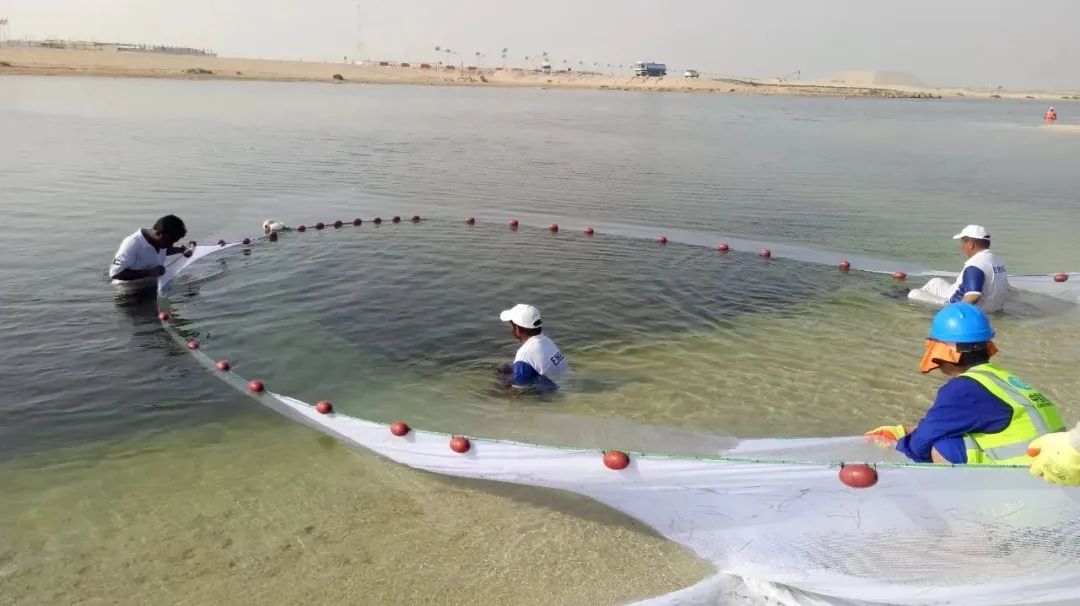 首页| J9集团国际站官方网站