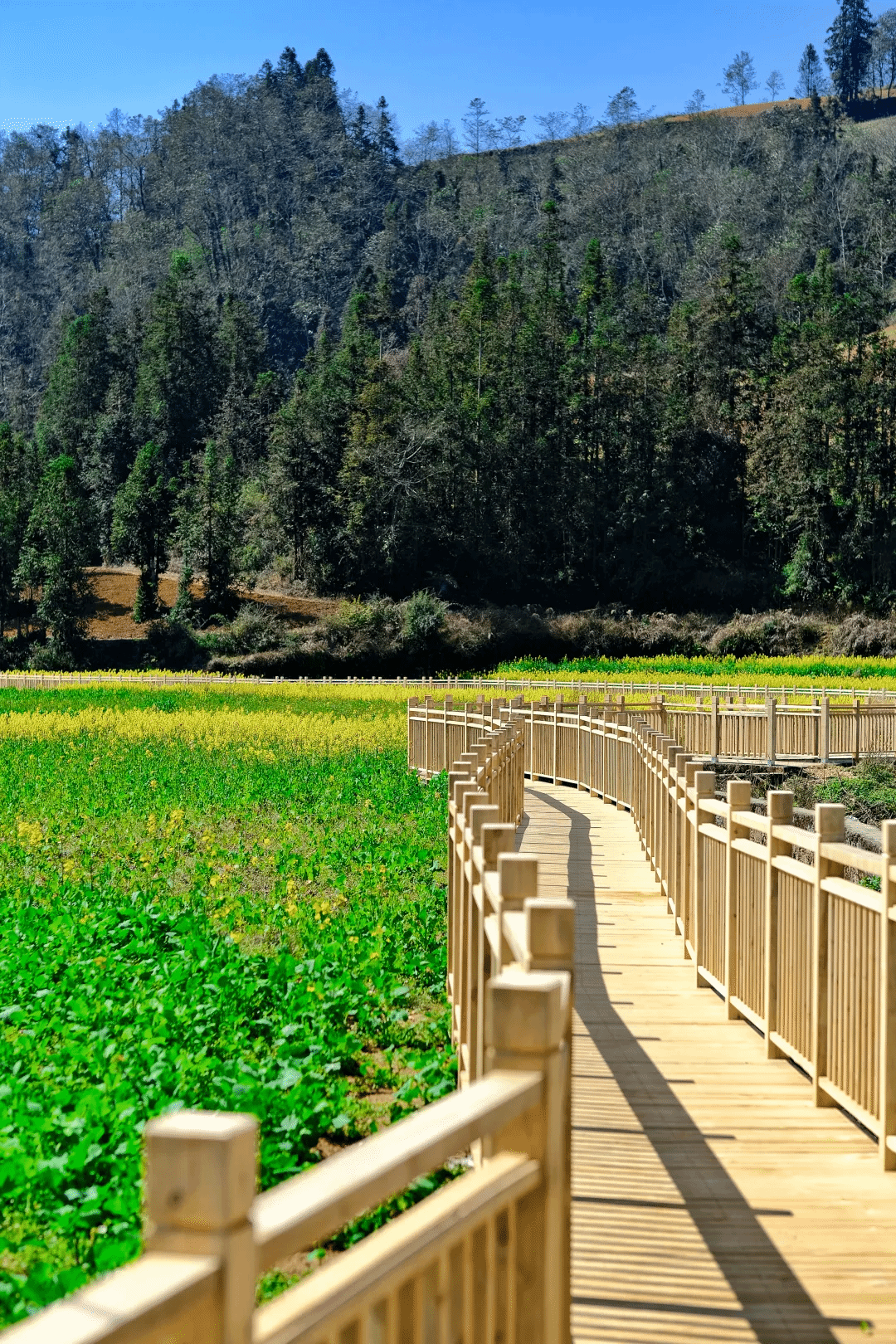 首页| J9集团国际站官方网站