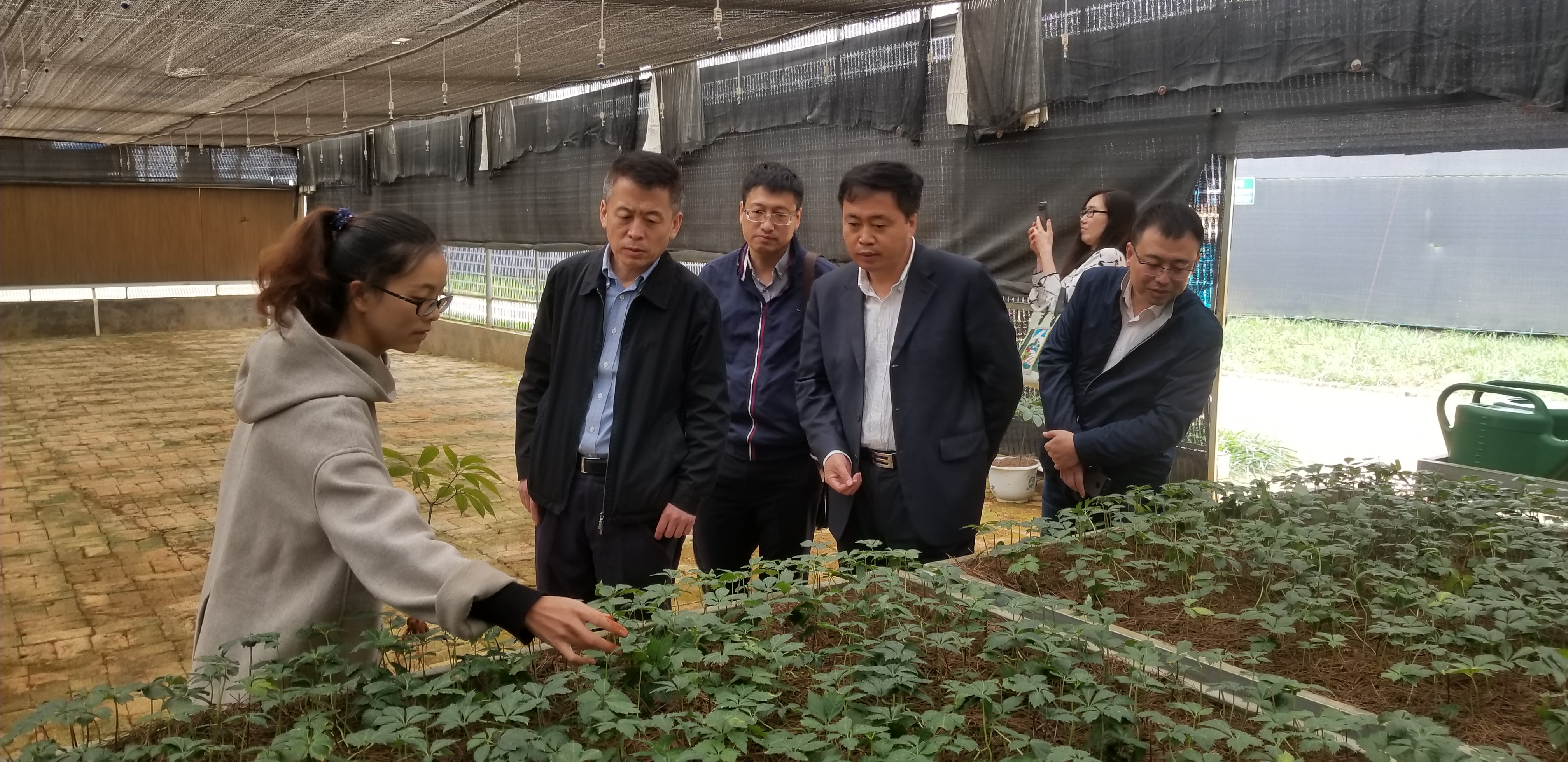 首页| J9集团国际站官方网站