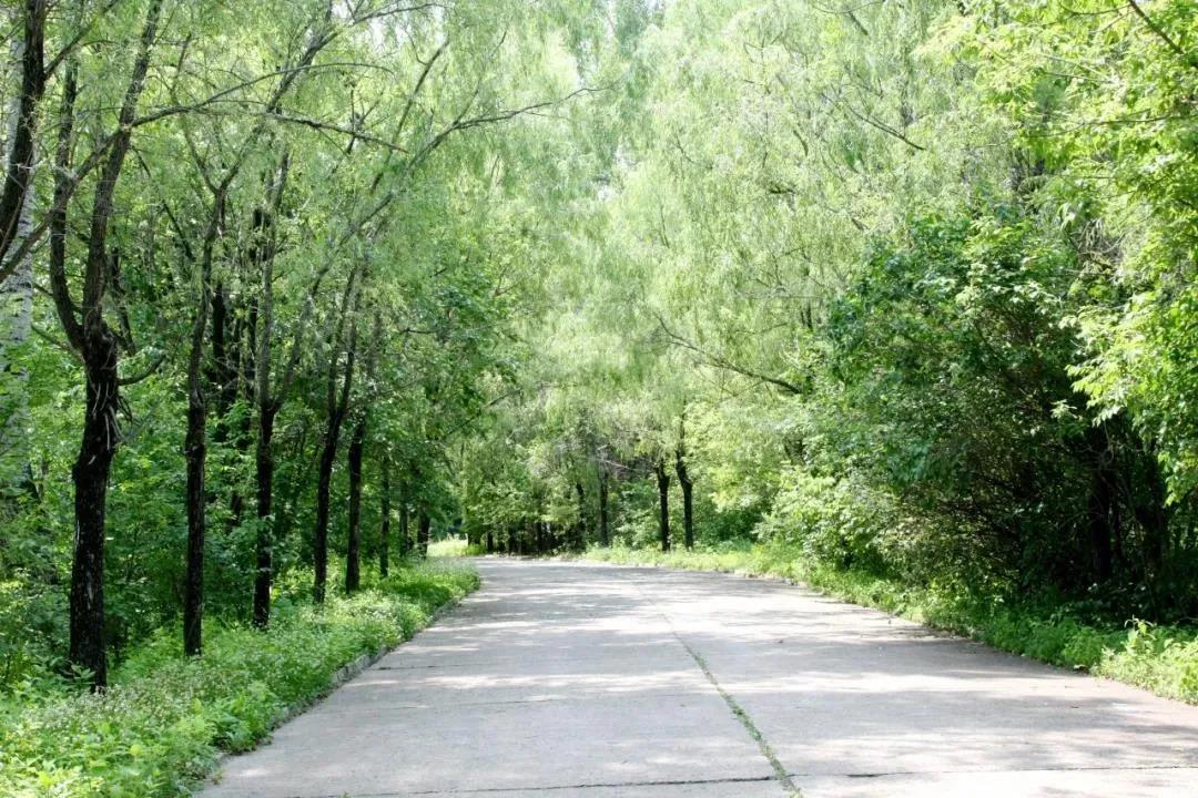 首页| J9集团国际站官方网站