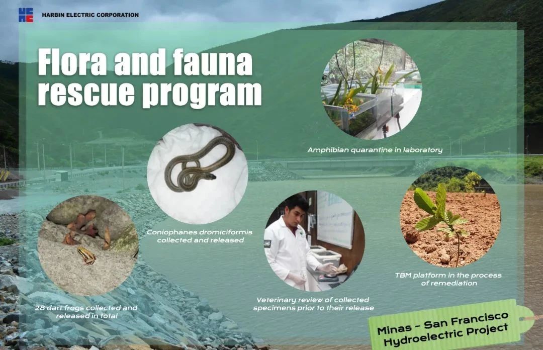 首页| J9集团国际站官方网站