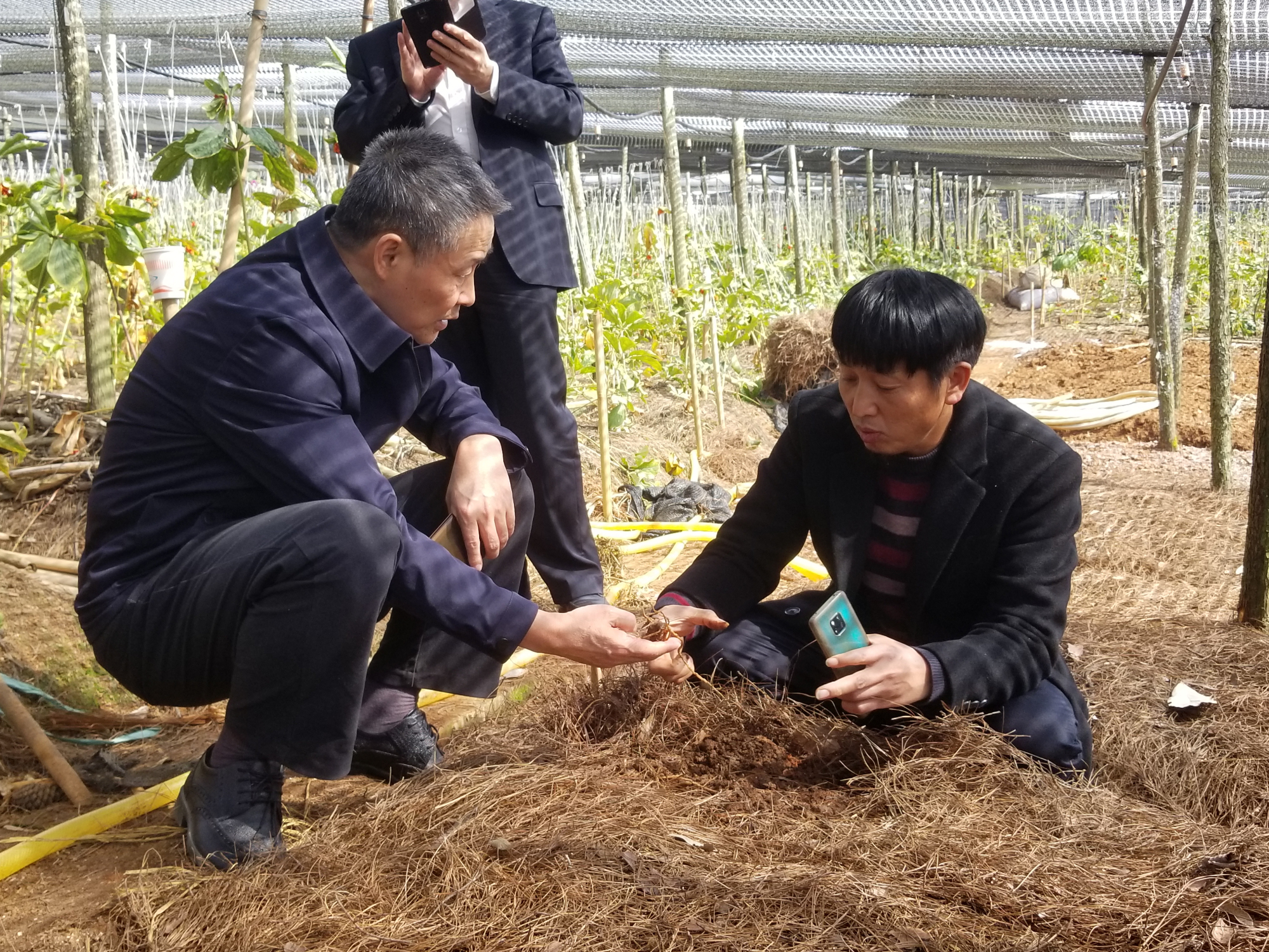 首页| J9集团国际站官方网站