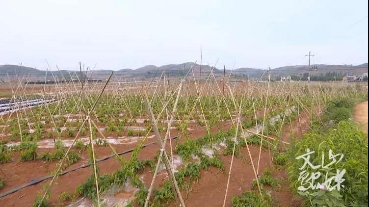 首页| J9集团国际站官方网站