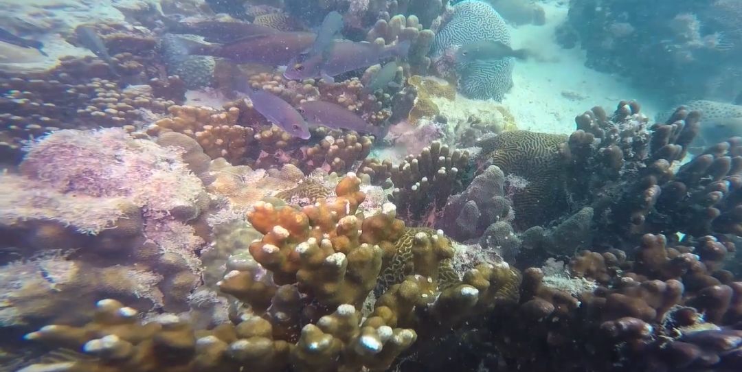 首页| J9集团国际站官方网站