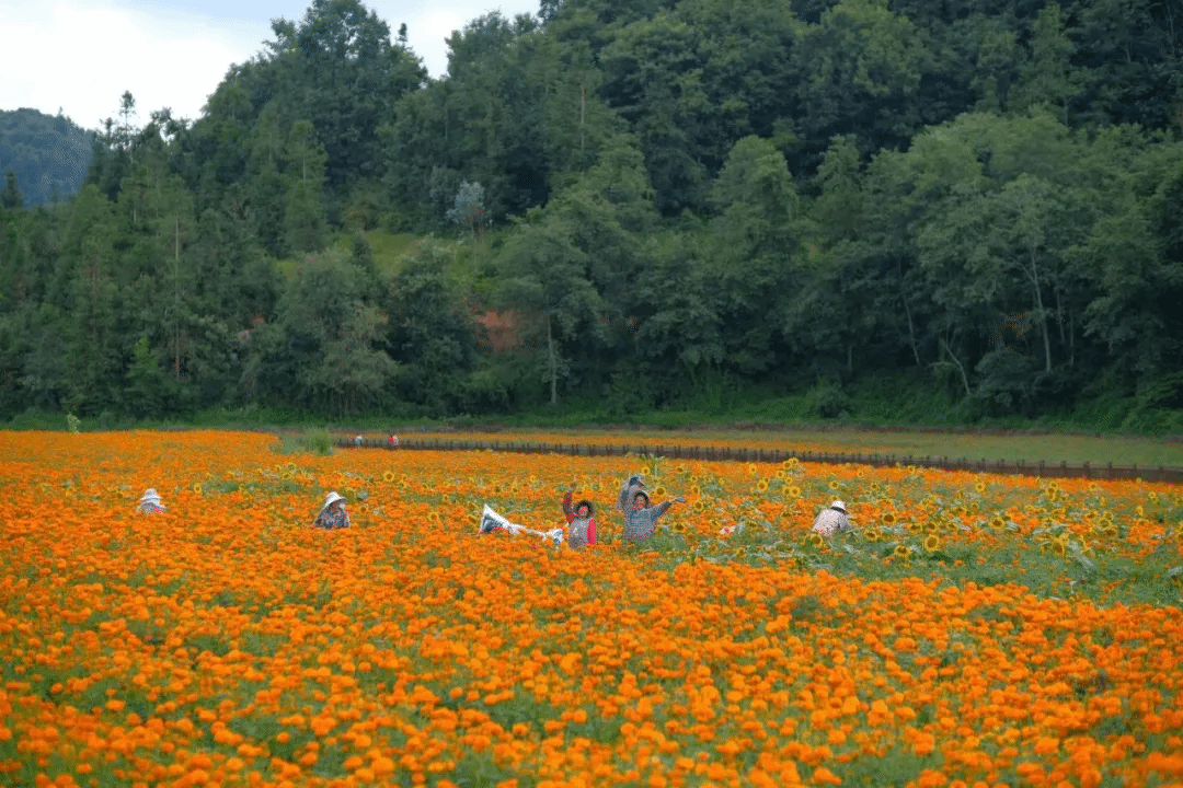 首页| J9集团国际站官方网站