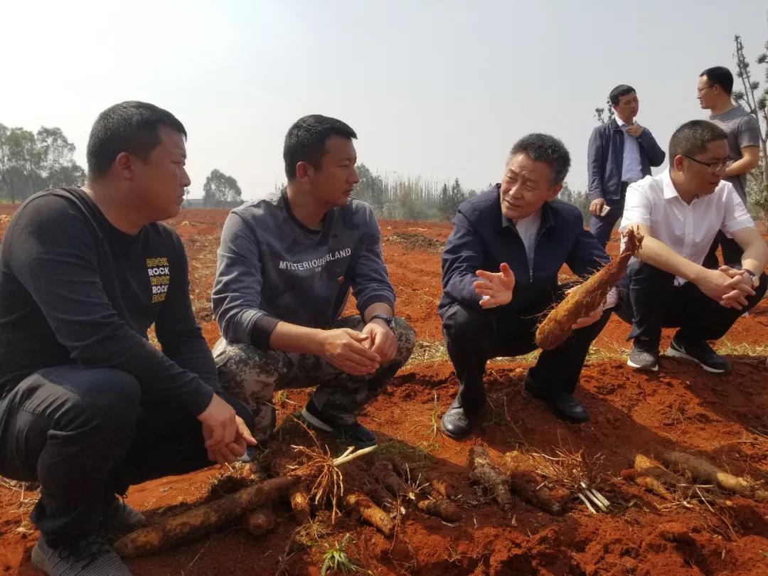 首页| J9集团国际站官方网站