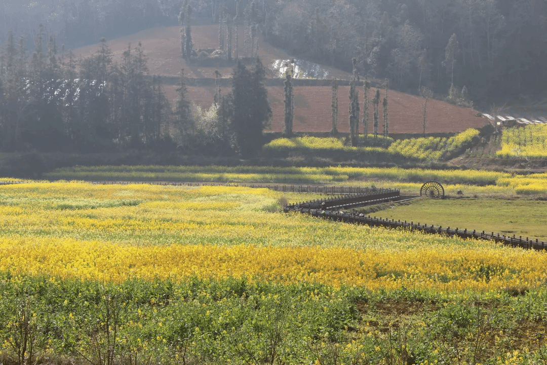 首页| J9集团国际站官方网站
